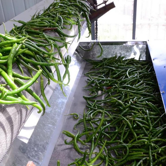 恒松 红薯烘干机 当归烘干机厂家图6