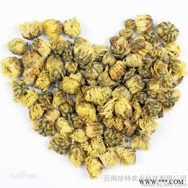 供应珍特牌菊花茶、杭白菊、云南茶叶合作