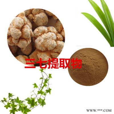 沃特莱斯 三七提取物 三七皂苷  三七粉 三七浸膏