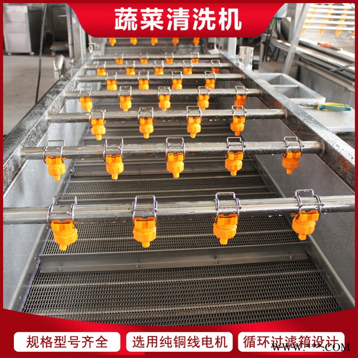 链板式枸杞清洗机 当归大枣气泡清洗机 中药材清洗加工设备图2