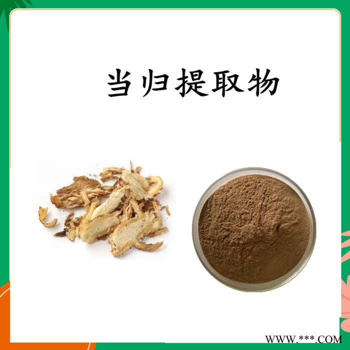 当归提取物 当归浓缩粉 10:1  可定制图2
