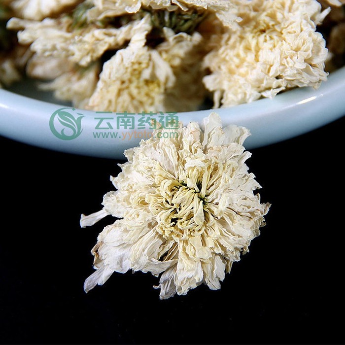 菊花茶胎菊王桐乡杭白菊正宗胎菊花茶清热去火黄山贡菊菊花100g