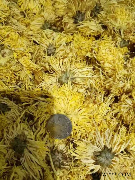 金丝皇菊一朵一杯菊花茶大黄菊江西修水皇菊JSG图4