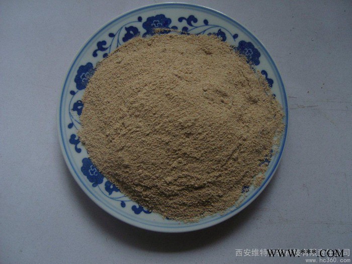 供应维特生物当归提取物Angelica PE