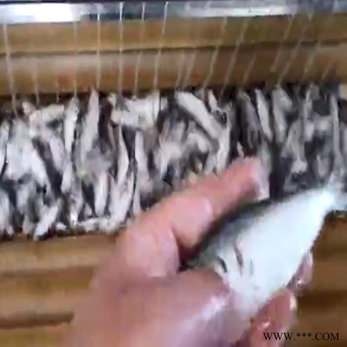 利顺 LS-MGQX大型洗果机滚筒式毛刷三七辣菜天麻中药材清洗毛辊机萝卜去皮机商用图4