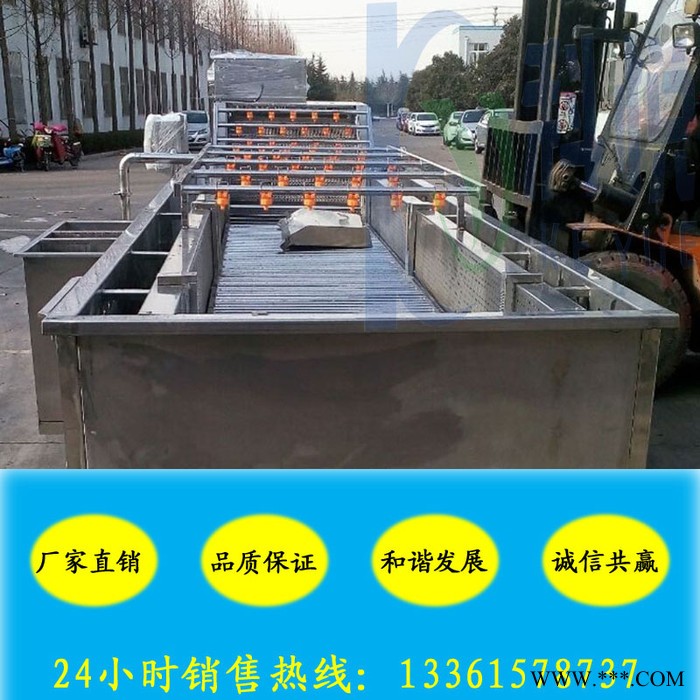枇杷果清洗机当归气泡清洗机 果蔬气泡清洗机图5