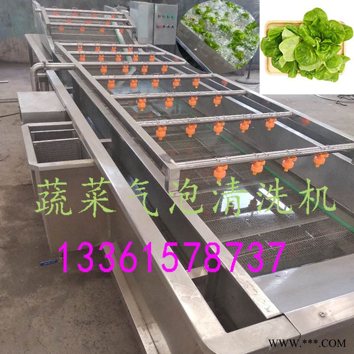 枇杷果清洗机当归气泡清洗机 果蔬气泡清洗机图3