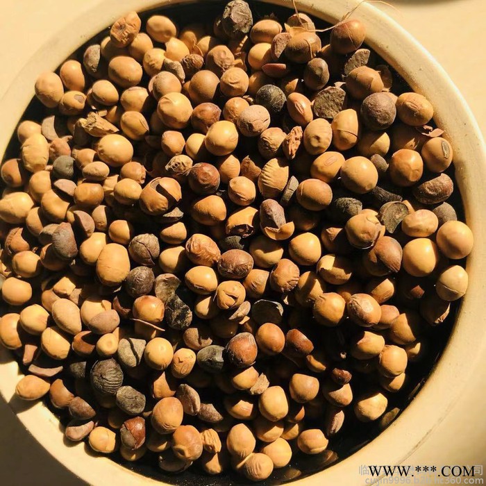 大豆|益生菌腐熟大豆厂家 益生菌腐熟发酵大豆肥批发 量大优惠图3