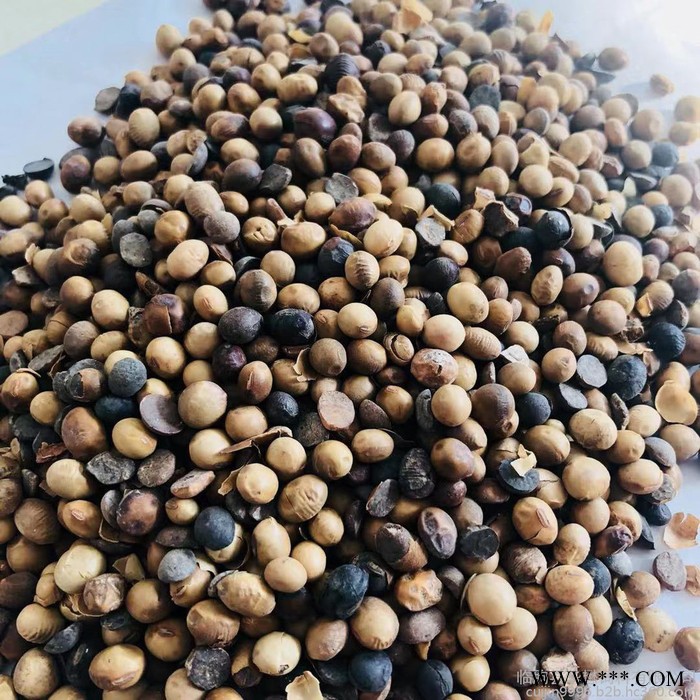 大豆|益生菌腐熟大豆厂家 益生菌腐熟发酵大豆肥批发 量大优惠图2