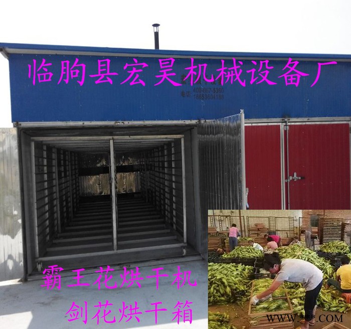 宏昊HH-300供应 菊花烘干机 鲜菊花花蕾烘干房 菊花茶烘干设备 干菊花烘干箱图7