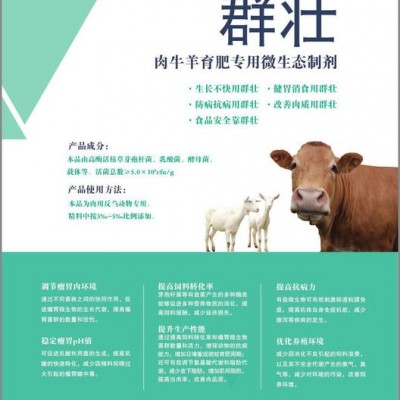 肉牛羊养殖专用益生菌添加剂     群壮