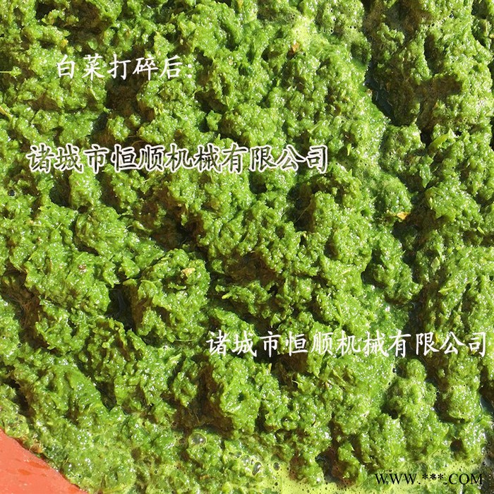 **蓝莓酵素益生菌酵素固液分离设备 莲藕汁高出汁滤压榨机图5