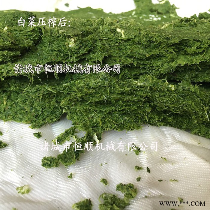**蓝莓酵素益生菌酵素固液分离设备 莲藕汁高出汁滤压榨机图2