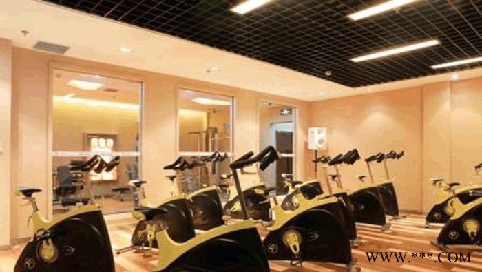 康美Z-003 室内健身器材莱美室内商用脚踏车超静音动感单车图5