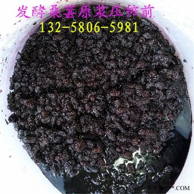 益生菌酵素压榨机 中药渣过滤提取压榨机 水蜜桃果酒过滤压榨机