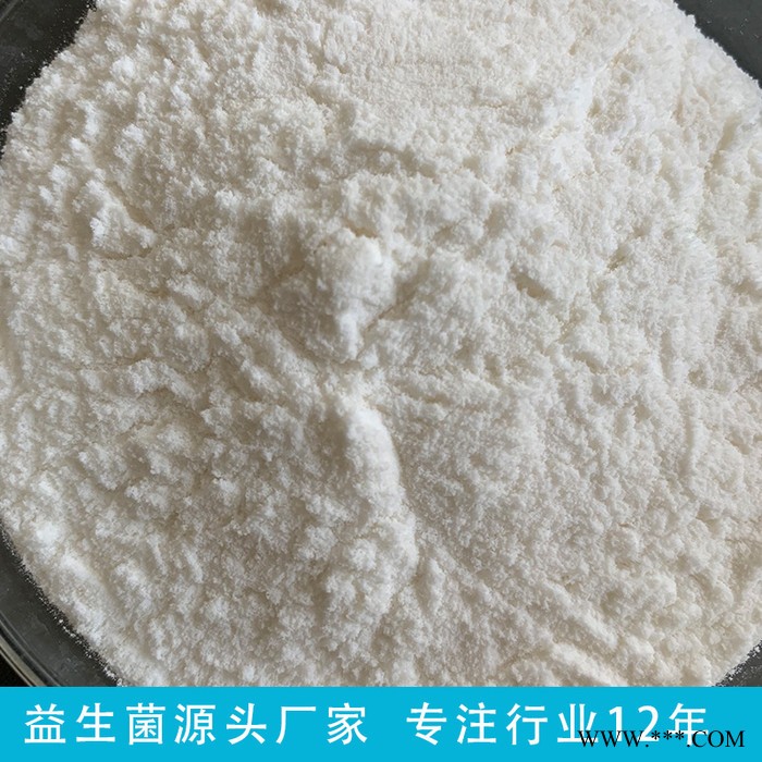 两歧双歧杆菌 益生菌冻干粉 益生菌菌粉 原料冻干粉 **食品