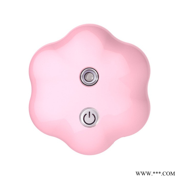 致美ZL-S1769 纳米喷雾补水仪补水美容仪补水喷雾仪 **加工定制图3