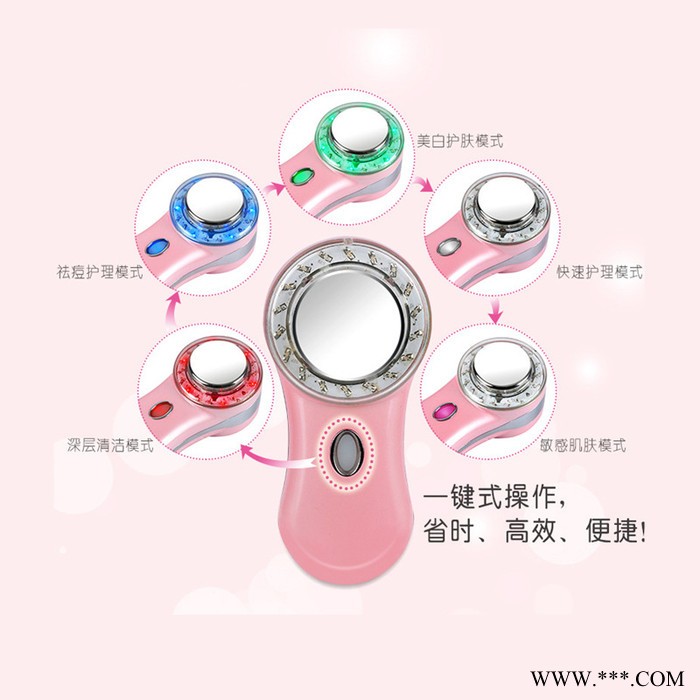 致美 ZL-S1219 彩光美容仪脸部按摩仪家用离子导入仪 **加工定制图3