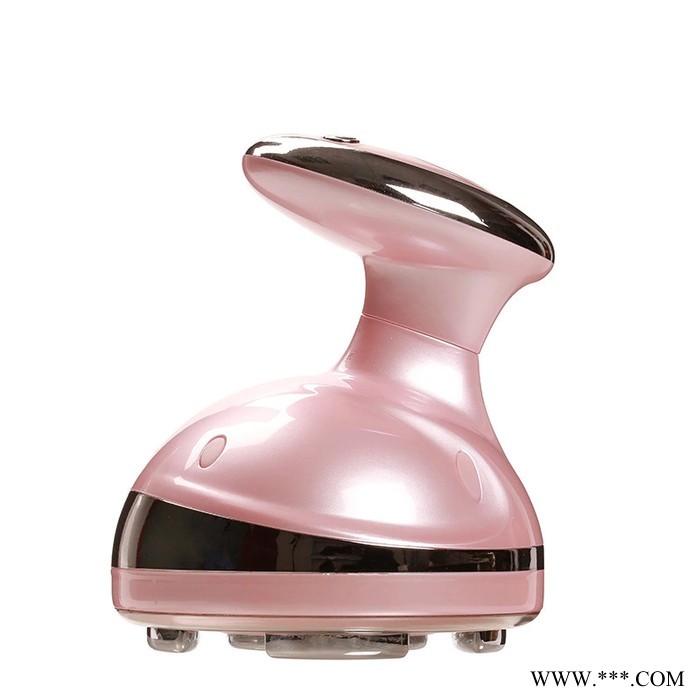 致美 ZL-S6639 超声波美容仪射频按摩仪家用爆脂仪纤体仪 **加工定制图2