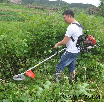 批发批汽油剪草机富兴 园林修边背负式割草机 批发微型艾草割艾机图6