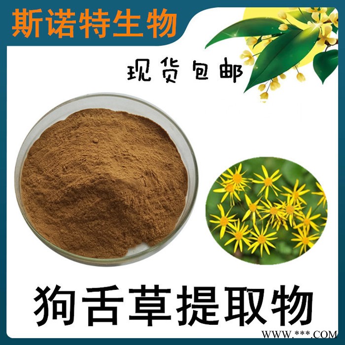 艾草提取物 艾叶粉 艾叶浸膏 浓缩 粉 斯诺特生物图2