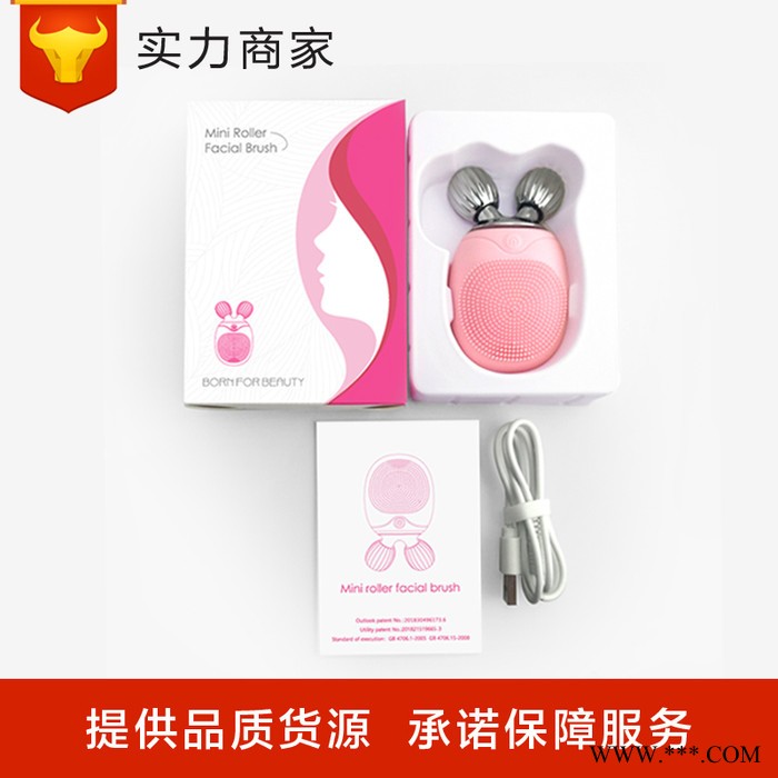 洁面仪usb充电多功能防水美容仪器家用震电动按摩硅胶洗脸刷**图5