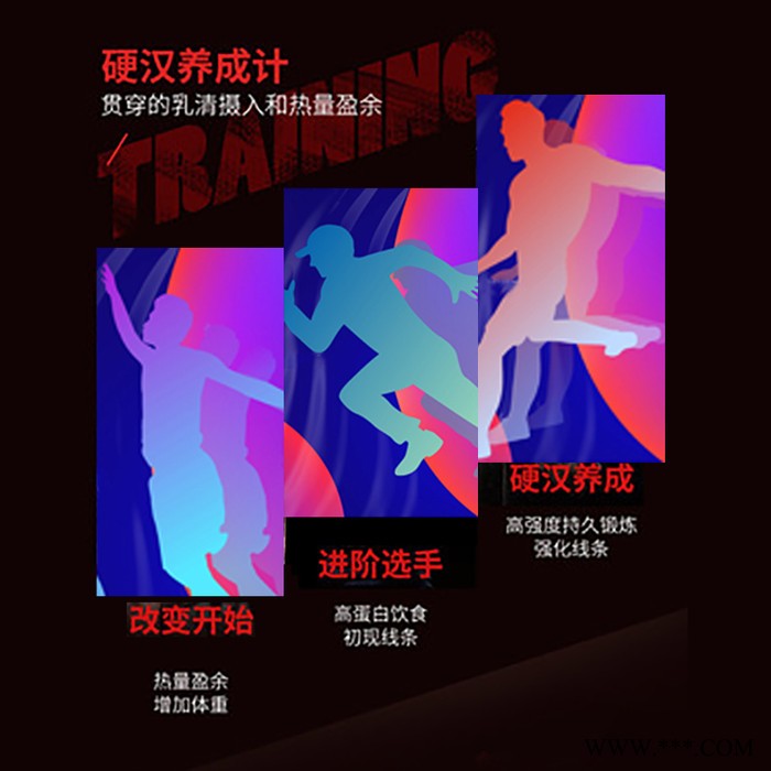 恒元星 恒元星乳清蛋白粉OEM 乳清蛋白粉价格 特膳食品生产厂家图4