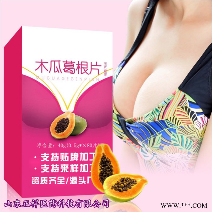 葛根木瓜魔芋粉 营养速食代餐粉 蛋白粉厂家 直供葛根粉蛋白粉 固体饮料 冲调食品 口味定制 配方定做 OEM 贴牌代加工图2