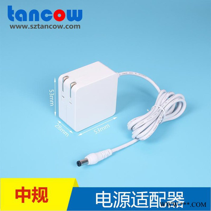 雅萌射频美容仪12V2A开关电源适配器厂家图2