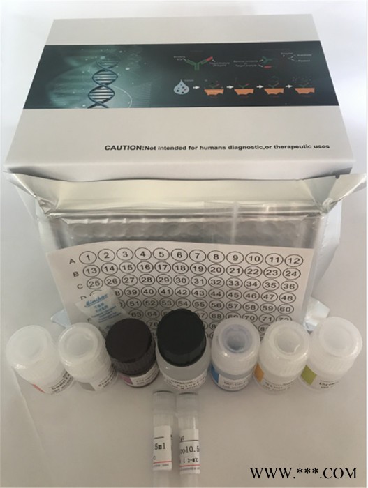 双赢生物 elisa试剂盒 小鼠1,25-二羟维生素D(3)24-羟化酶（CYP24A1）elisa试剂盒厂家订做图2