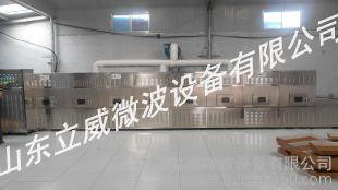 山东立威生产蛋白粉微波杀虫干燥熟化设备