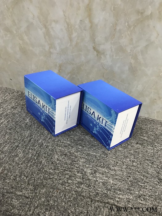 睿信生物 小鼠25羟基维生素D（25-OH-VD）ELISA试剂盒价格合理