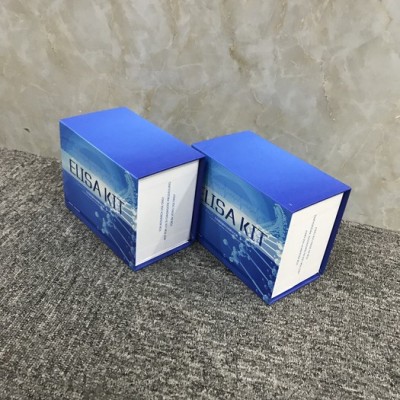 睿信生物 小鼠25羟基维生素D（25-OH-VD）ELISA试剂盒价格合理