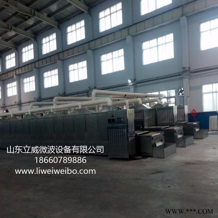 立威蛋白粉微波杀虫烘干熟化设备图2