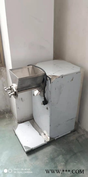 小型工厂制粒机 维生素制粒机 大型药厂制粒机图3