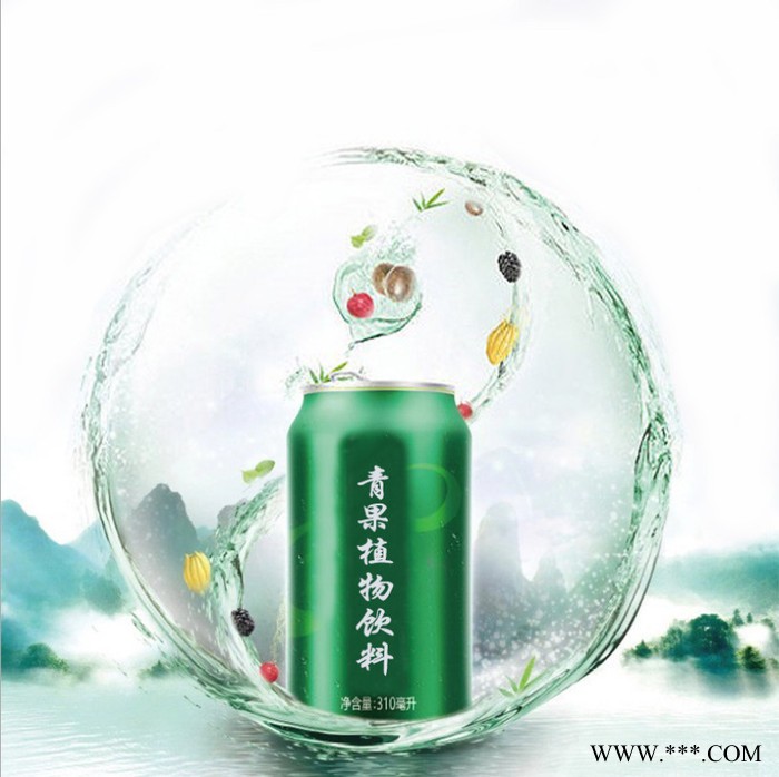易拉罐罐装饮料OEM 运动功能饮料 植物饮料 维生素饮料贴牌代加工图2