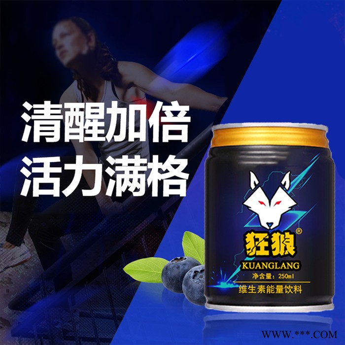 易拉罐罐装饮料OEM 运动功能饮料 植物饮料 维生素饮料贴牌代加工图5
