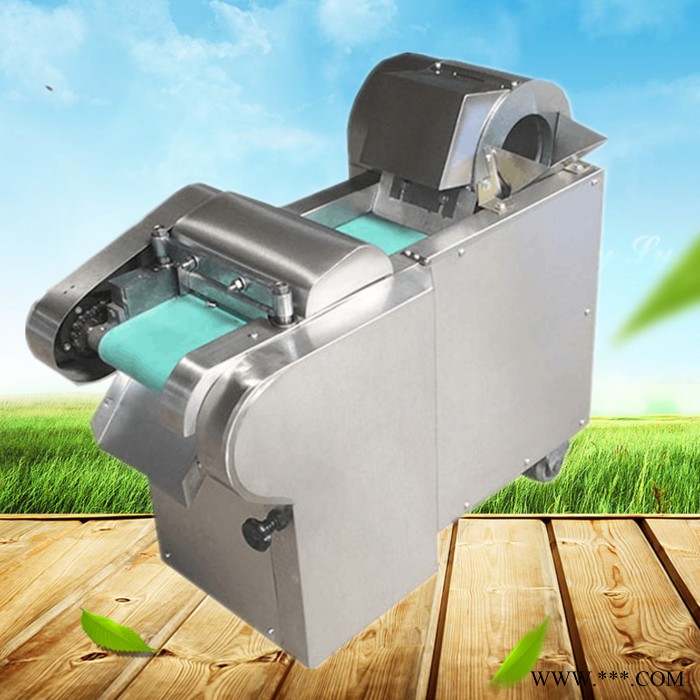佳硕660平头电动切菜机 艾草中药切段机 竹笋切片机价格图5