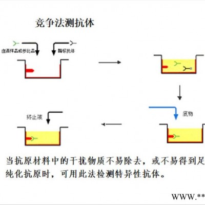 双赢生物 elisa试剂盒 小鼠1,25-二羟维生素D(3)24-羟化酶（CYP24A1）elisa试剂盒厂家供应