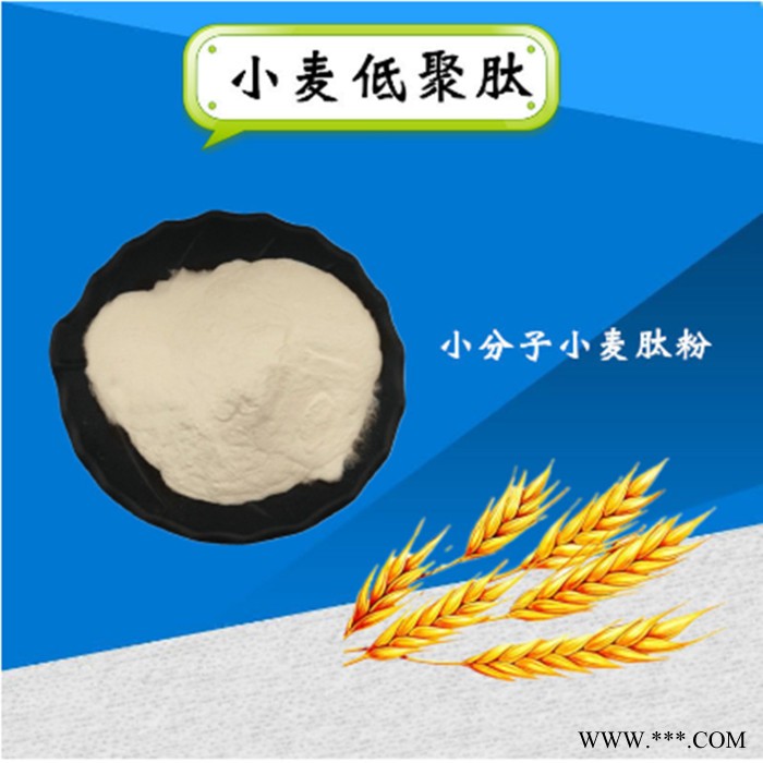 小麦低聚肽  小麦肽小麦低聚肽粉小麦蛋白粉小分子  小麦肽粉图3