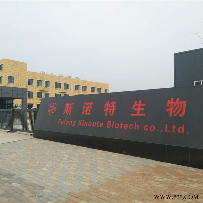 斯诺特 板栗提取物 板栗蛋白粉 植物提取物厂家