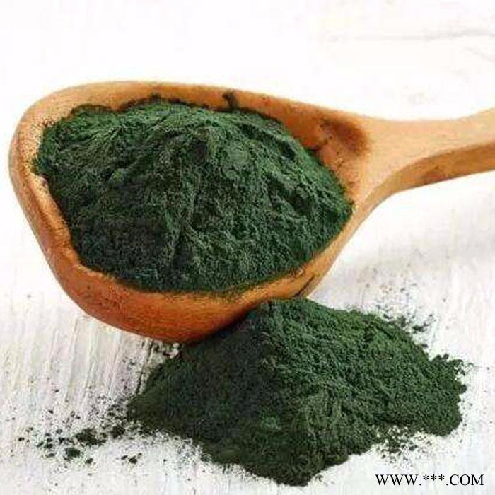 绿虫藻粉80-120目价格 裸藻蛋白粉 香草生物供应绿虫藻速溶粉  绿虫藻浸膏图3