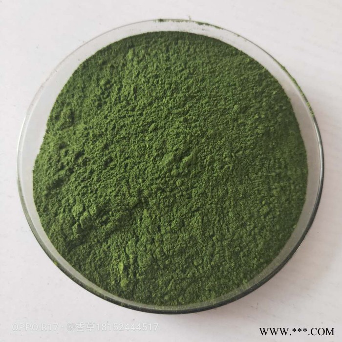 绿虫藻粉80-120目价格 裸藻蛋白粉 香草生物供应绿虫藻速溶粉  绿虫藻浸膏图6