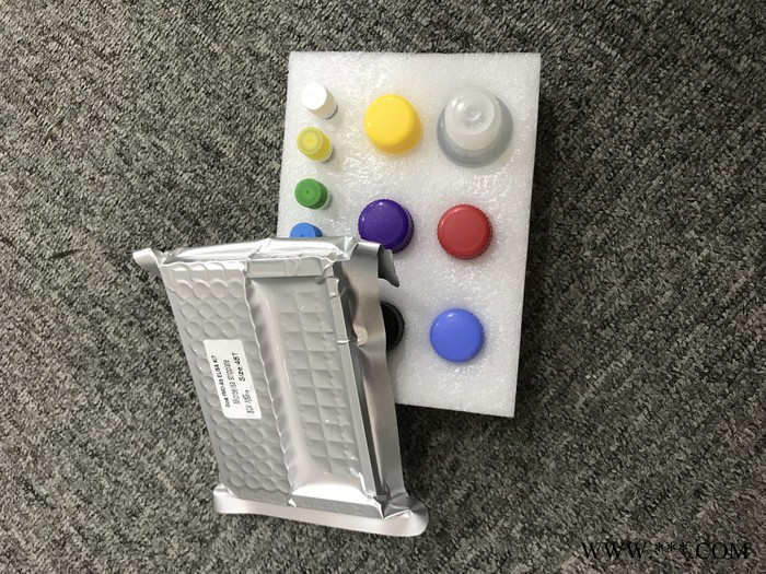 睿信生物 猪酸性鞘磷脂酶（ASM）ELISA试剂盒价格合理图5