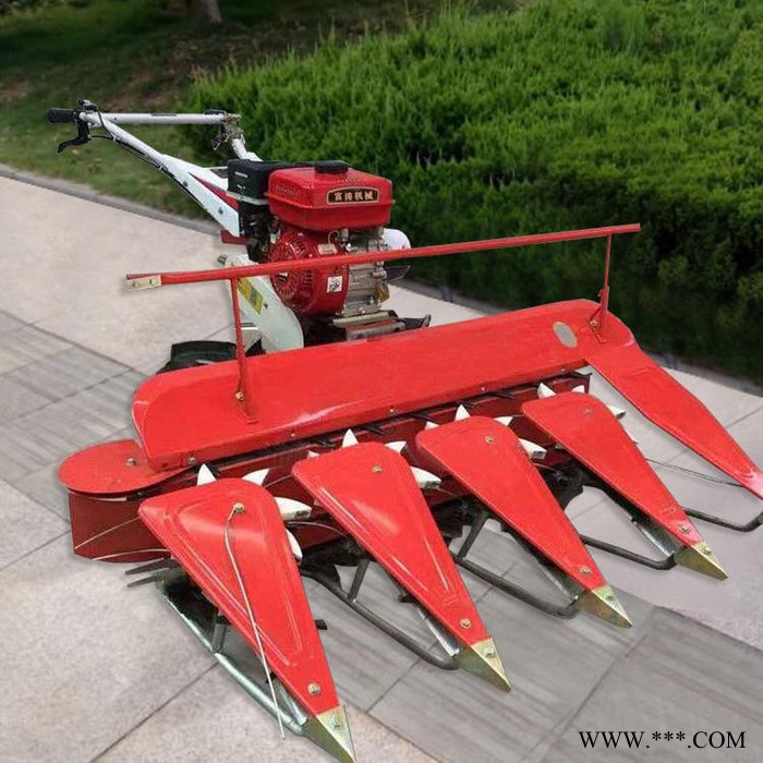 四轮带玉米高架收割机  173柴油手扶式芦苇割晾机  多功能养殖青饲料艾草割晒机重量图5