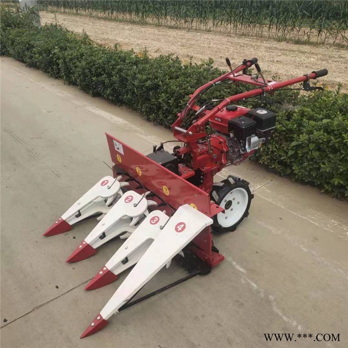 四轮带玉米高架收割机  173柴油手扶式芦苇割晾机  多功能养殖青饲料艾草割晒机重量图7