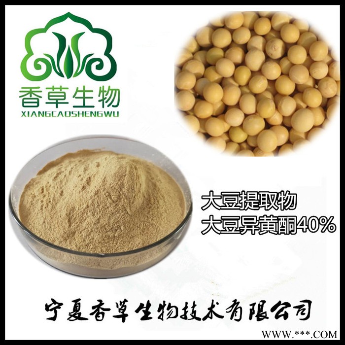 大豆异黄酮40% 厂家批发大豆提取物  大豆卵磷脂98%价格图2