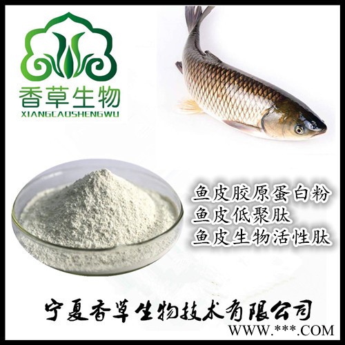 鱼皮胶原蛋白粉出厂价 供应鱼胶原小分子肽易吸收 鱼皮低聚肽生产商图3