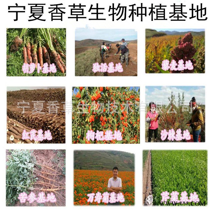 螺旋藻提取物厂家 宁夏厂家供应螺旋藻粉 超微粉500目 螺旋藻多糖含量图3