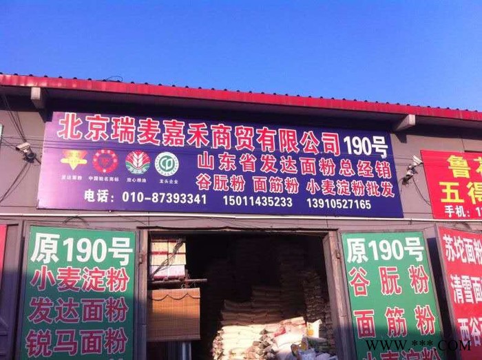 供应玉梅花小麦谷元粉（谷朊粉） 面筋粉   小麦蛋白粉  常年批发图3